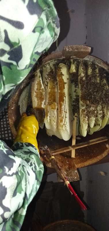 会昌县土蜂蜜，一年割一次百花蜜