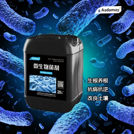 寿光市菌微生物菌肥活化土壤提高肥效生根水溶肥液体菌肥