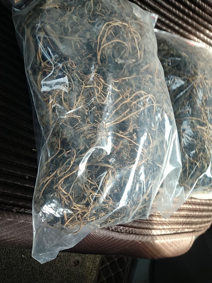 马齿苋  不过水，无蒸煮，纯自然晒干，干净无杂！