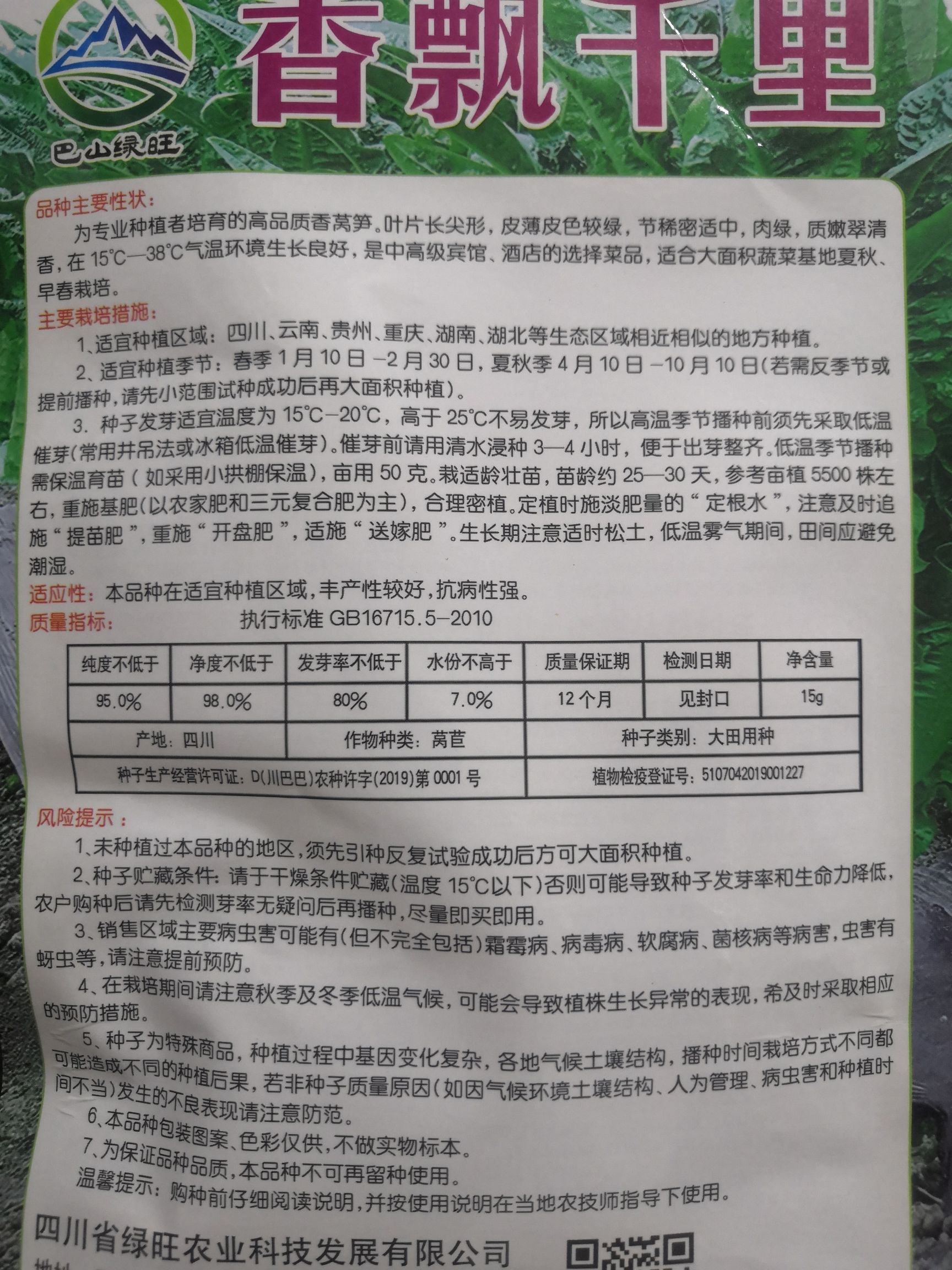 耐高温莴笋种子高温38度生长良好长尖叶三青皮莴笋