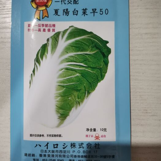 樟树市夏阳白菜种子 杂交种 ≥85%