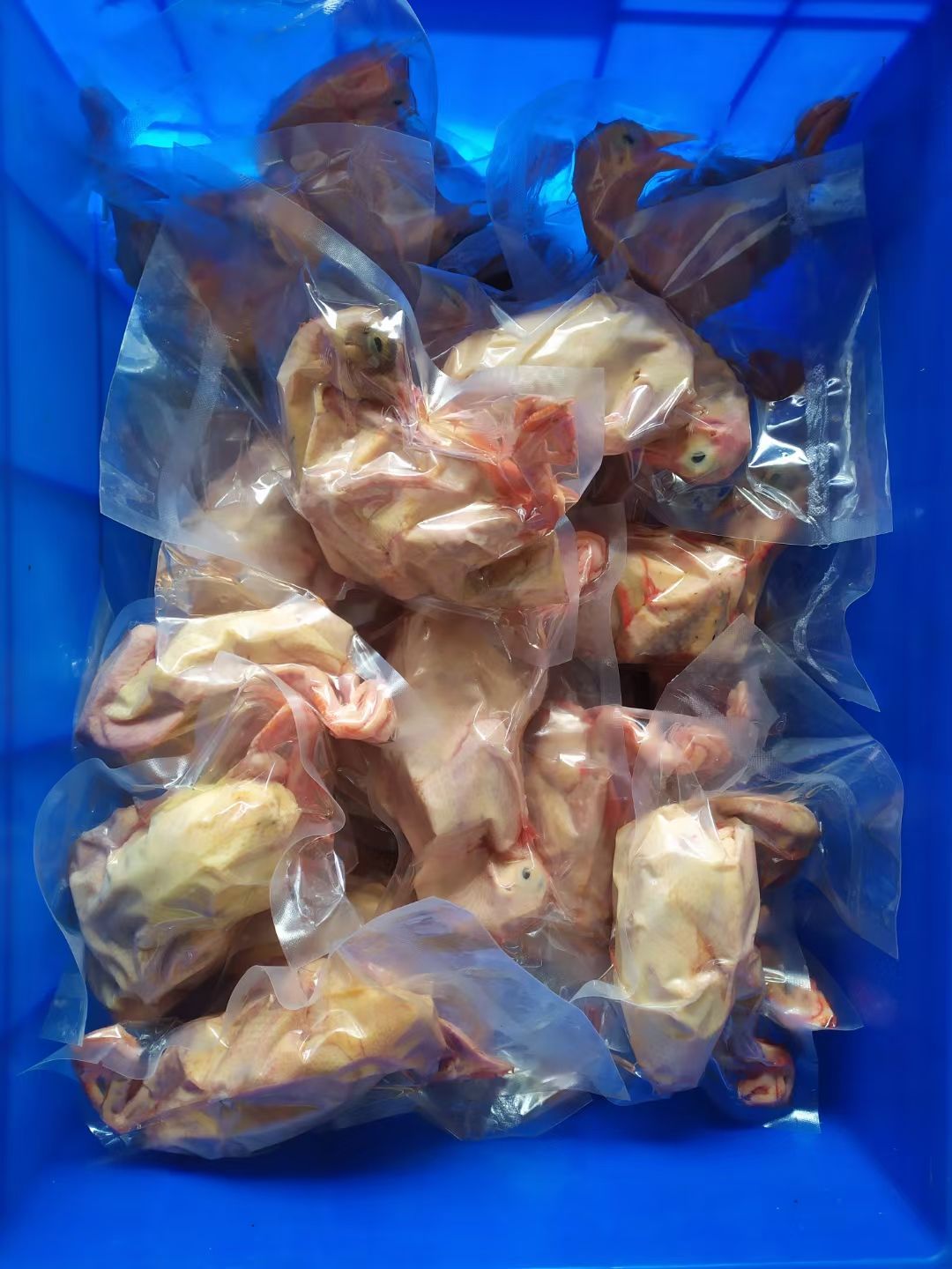  农场自产杂粮白条鸽，一手货源，现在现杀，保证新鲜，
