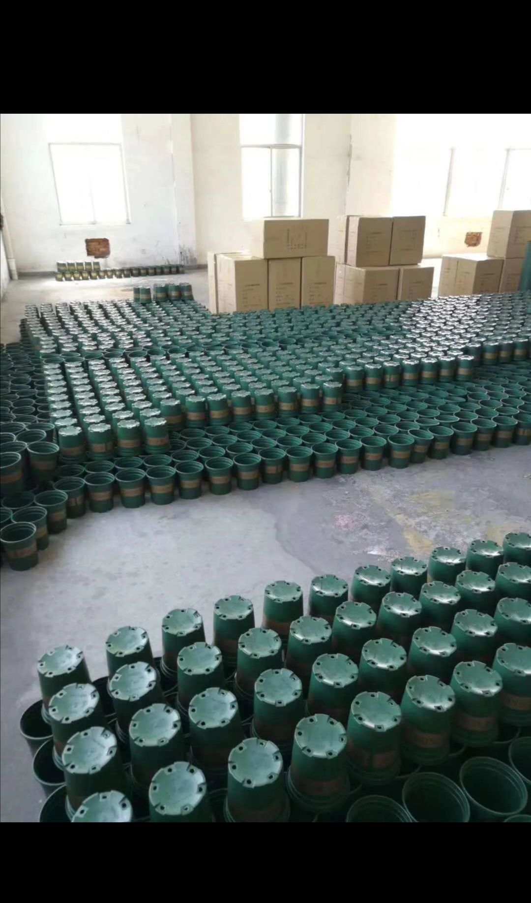 花盆塑料带托盘批发大阳台绿萝小盆栽托盘特大号加仑树脂多肉