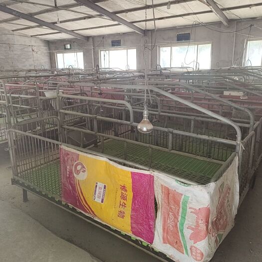 深州市畜牧养殖用地 