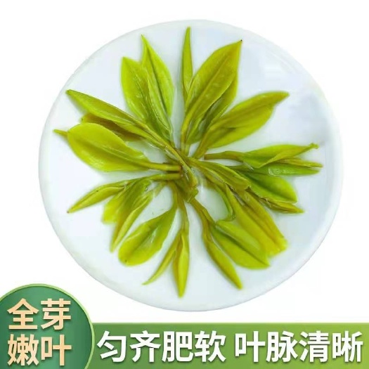 商南县新白茶  秦岭新春茶，茶香四溢，醇香持久，原产地直采发货，支持包装