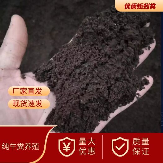 阳谷县蚯蚓粪  纯牛粪养殖的有机肥