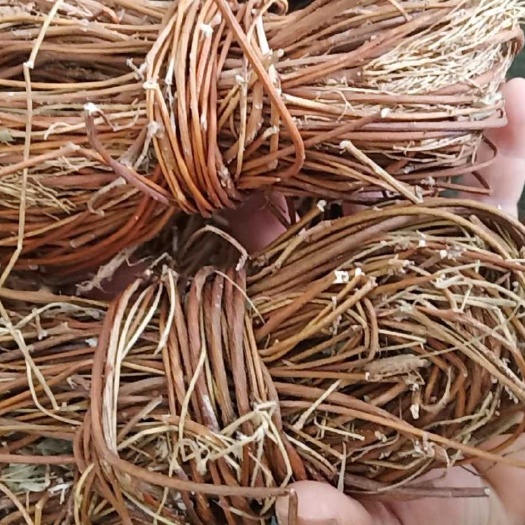 江门鸡骨草足干无硫
