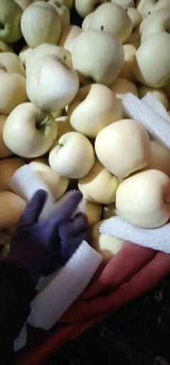黄元帅苹果 黄元帅