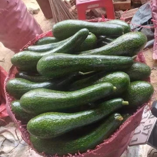 越南034牛油果，有需要的抓紧联系我