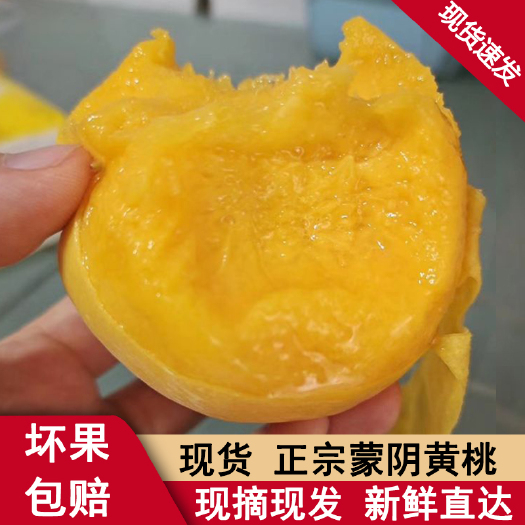 蒙阴县黄金黄桃  蒙阴黄桃 现货 支持一件代发 量大从优 当季水果