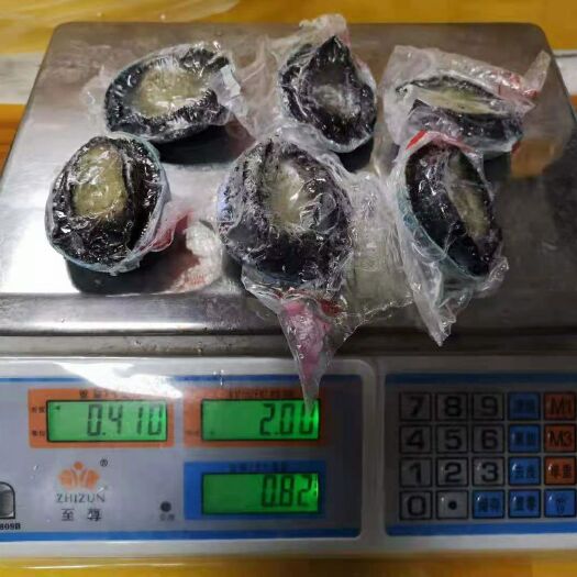 深圳蓝鲍 蓝边包7-8头