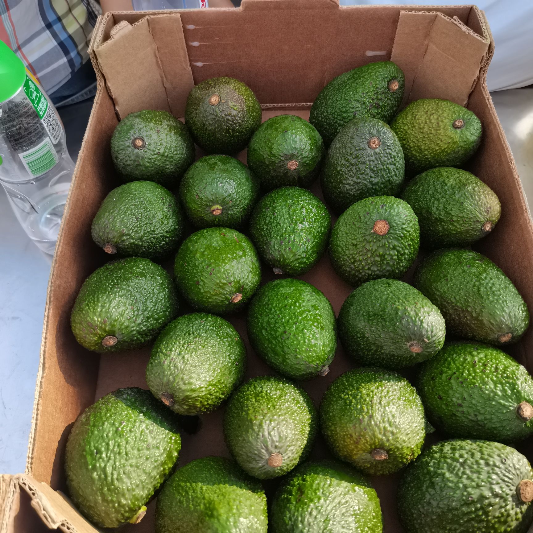 【优等牛油果】230g左右的秘鲁牛油果8-10个4斤/包邮