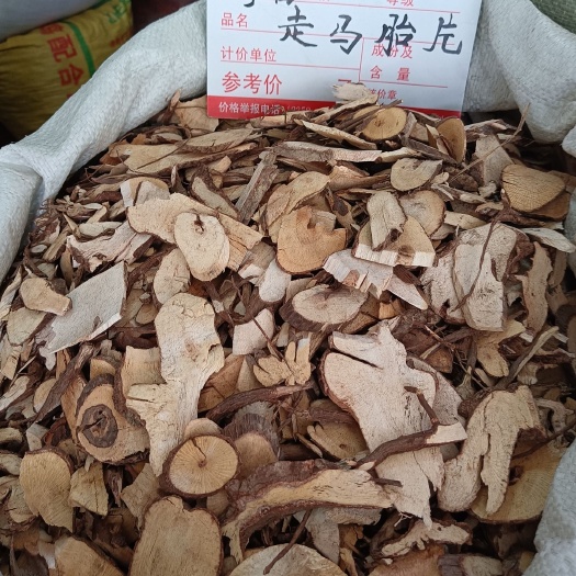 广西走马胎别名全根走马风 血枫山猪药走马胎根