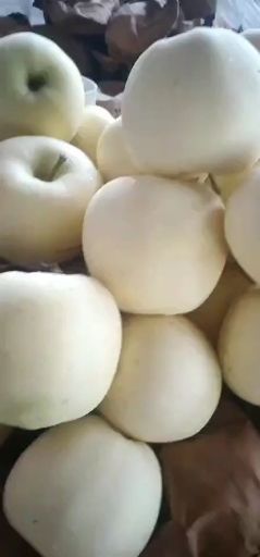 黄元帅苹果 黄元帅