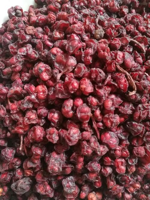 北五味子  无磺