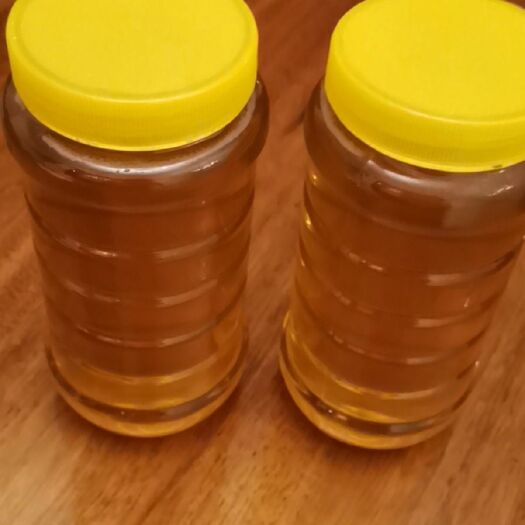 广州 蜂蜜，土蜂蜜，中华土蜂蜜