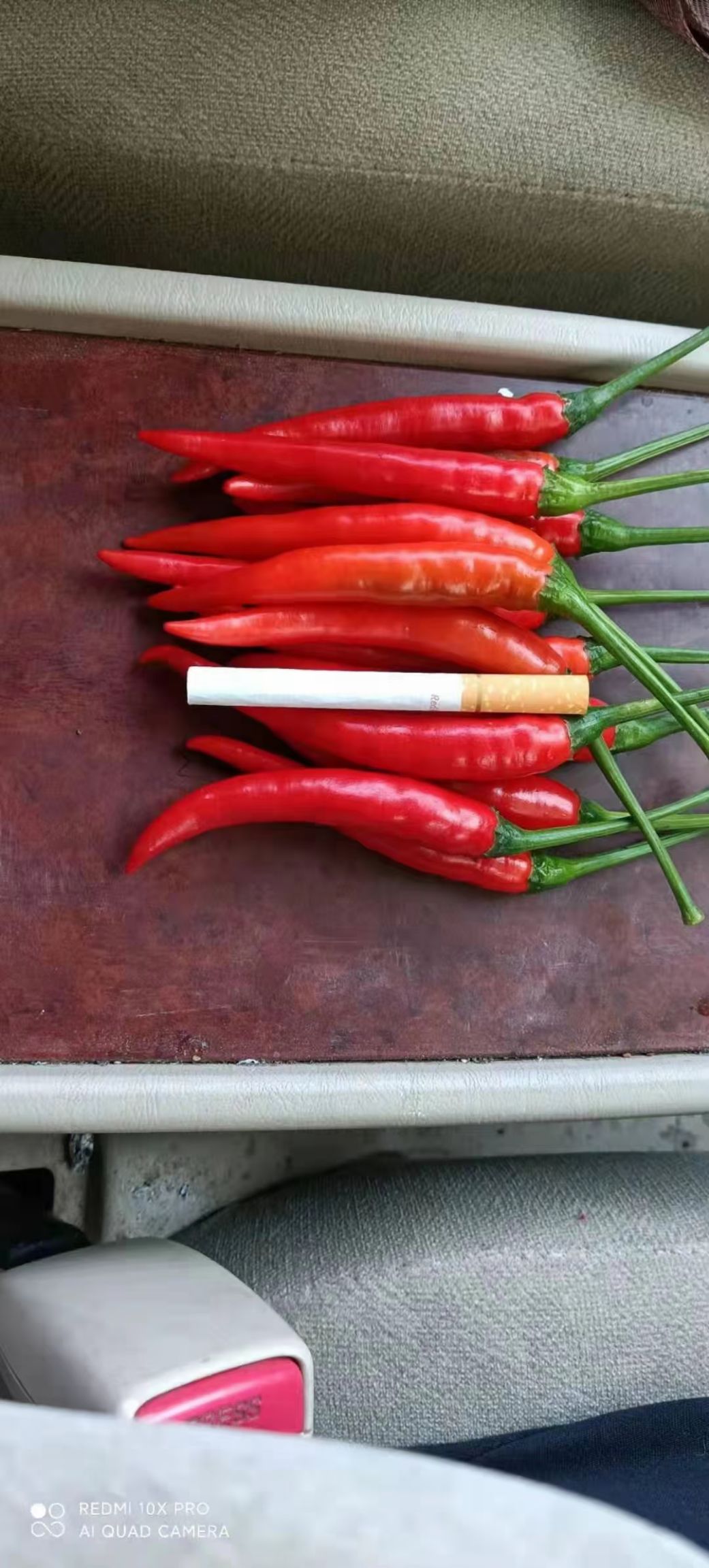 云南小米椒大量上市了，需要货的新老客户欢迎前来考察了