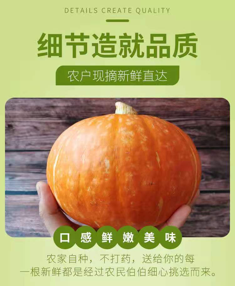 山东红皮红魔金贝贝南瓜