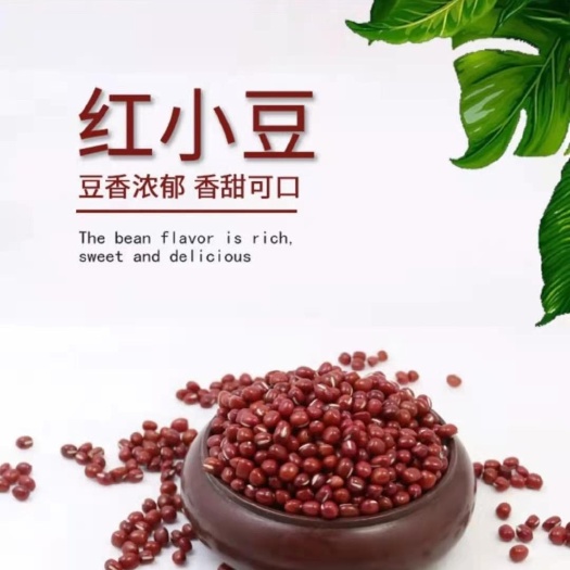 商南县红豆  秦岭农家红小豆，出沙软糯，产地发货，支持包装，人工精