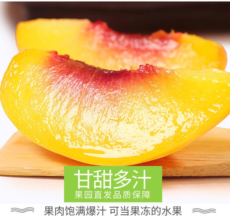 2026头茬现摘现发山东蒙阴黄金蜜桃，黄毛桃