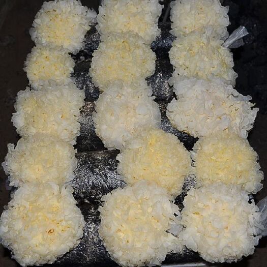江口县 银耳鲜菇