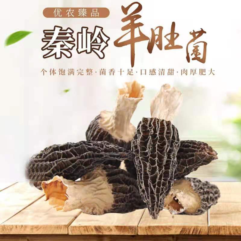 2021特级商南土特产新羊肚菌干货菌类煲汤味美肉厚500g