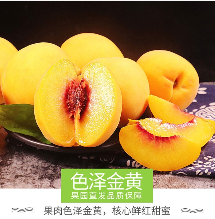2026头茬现摘现发山东蒙阴黄金蜜桃，黄毛桃