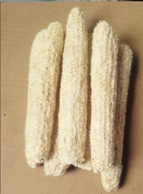 博白县谷物饲料 货的品质好