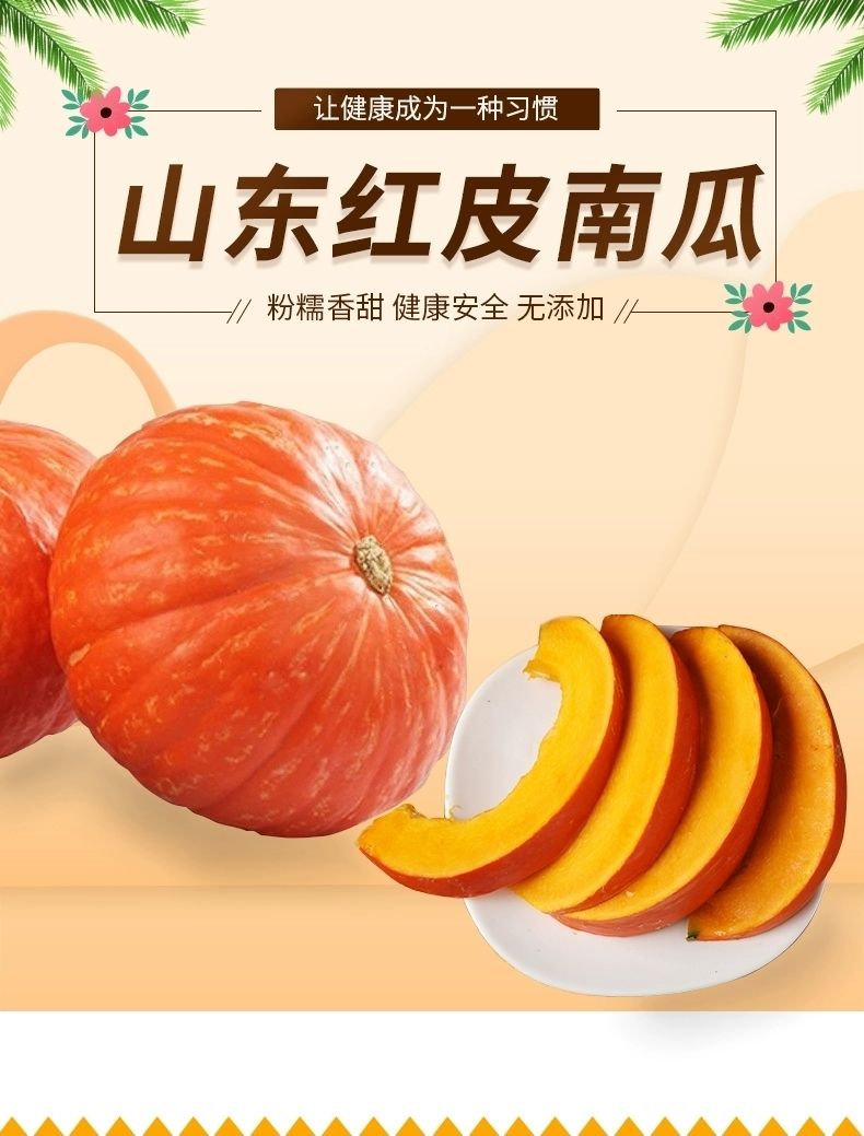 山东红皮红魔金贝贝南瓜