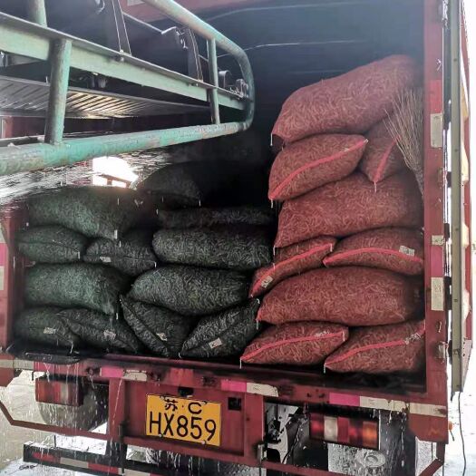 新沂市毛豆荚  毛豆