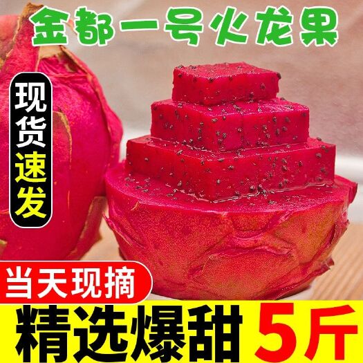 汕头金都一号火龙果  金都一号红心火龙果
