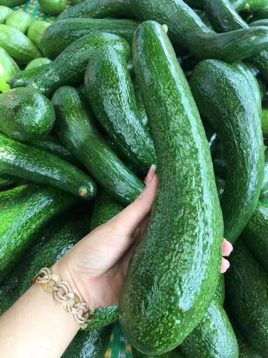 越南034牛油果，个大货好，需要的联系我