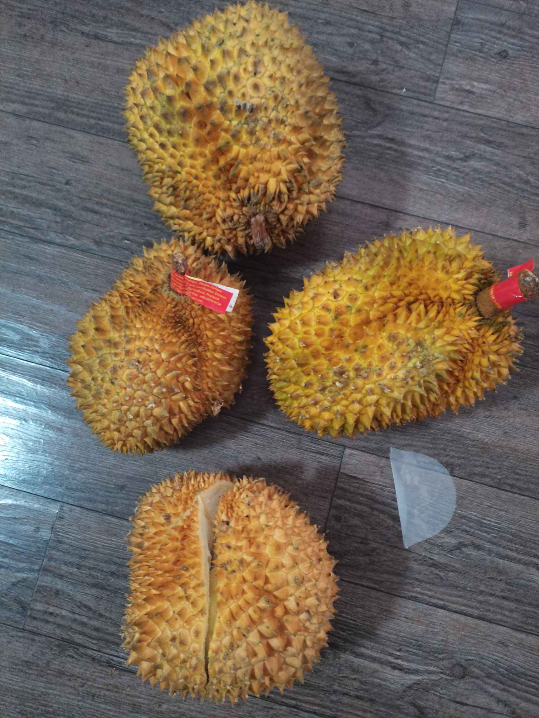 干尧榴莲  0长柄榴莲，32斤净重，需要的抓紧联系我