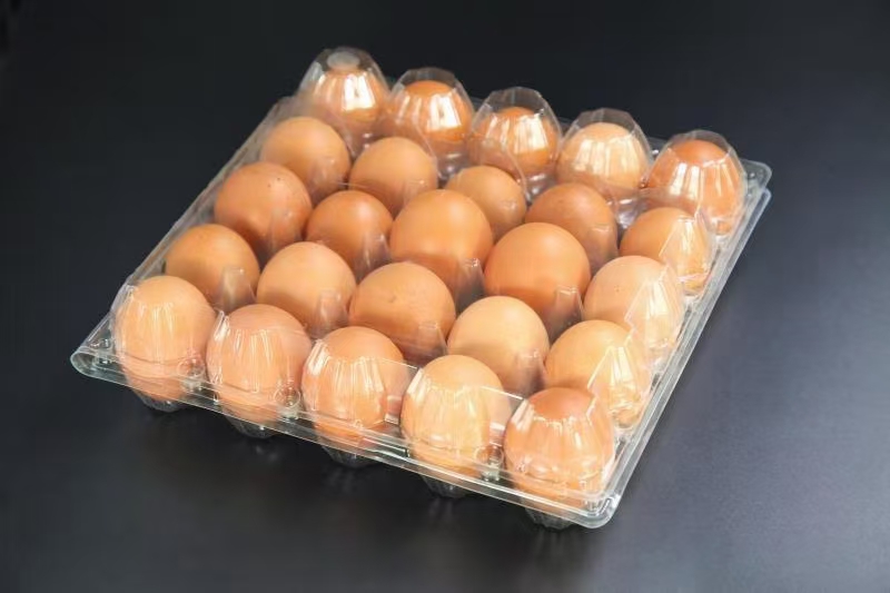 锁鲜盒 透明塑料盒