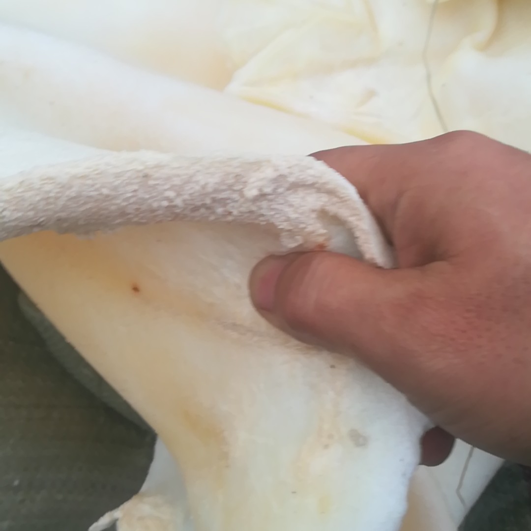  国产退毛牛皮，厂家直销，保证质量，货源充足稳定，有黄牛水牛哦