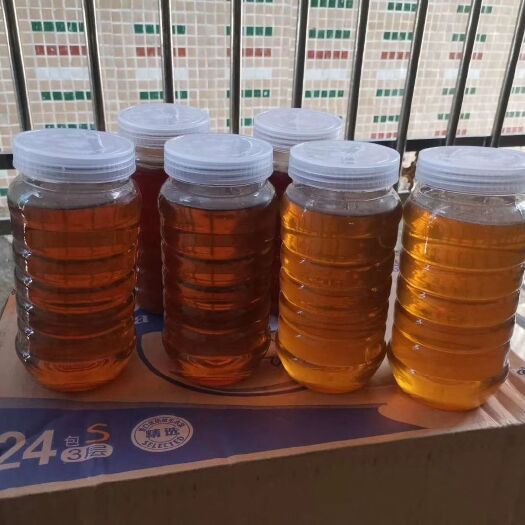 信丰县土蜂蜜