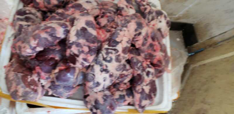 牛副产品 牛腰新鲜腰子带膜