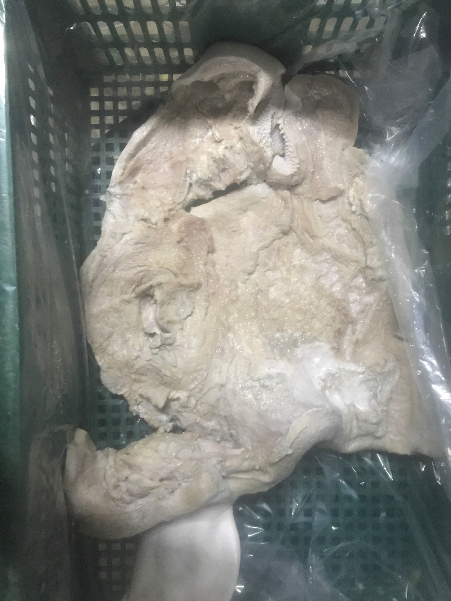牛副产品 牛头牛头皮长期供应