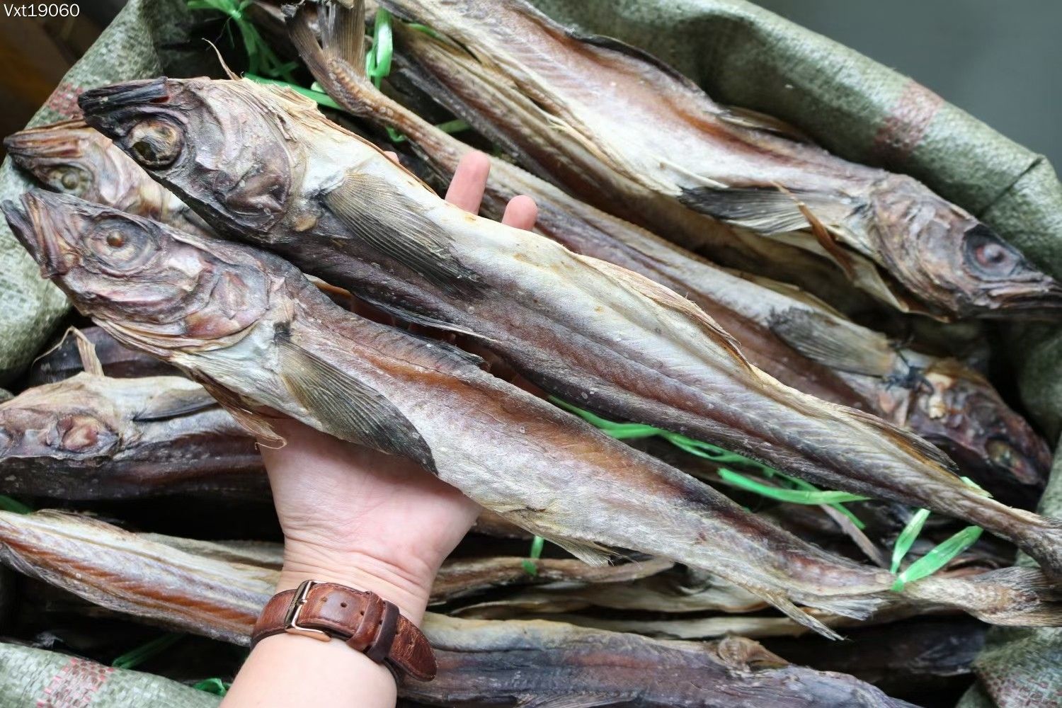 柴鱼干  柴鱼整条,