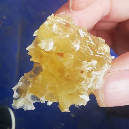 翁源县土蜂蜜 老爷子在乡下老家养的，一年仅釆两次的