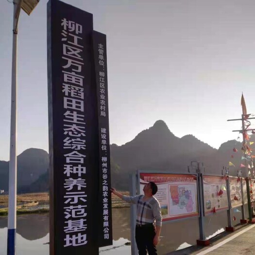 柳州专业养螺蛳基地