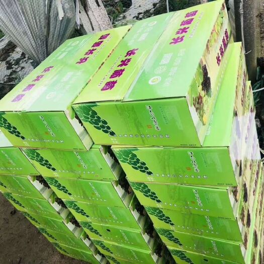 长兴县 乒乓球葡萄长兴葡萄 种植十年