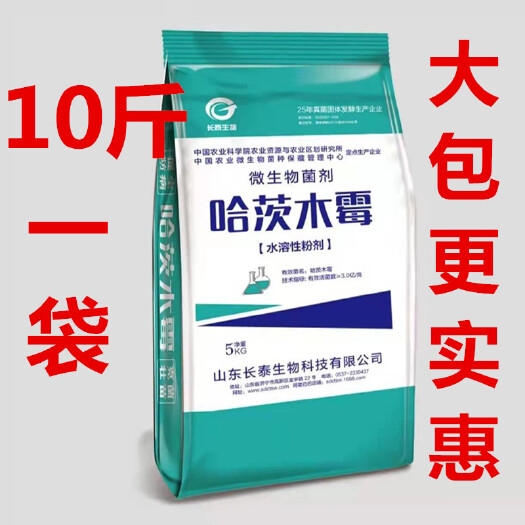 济南间接肥料  农业哈茨木霉菌 高品质 10斤一袋