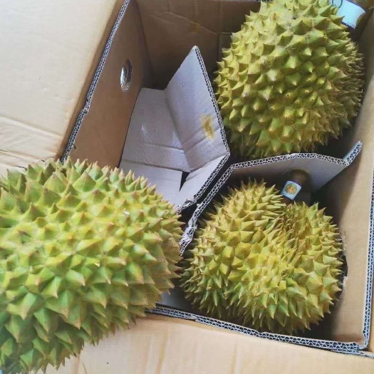 凭祥市金枕榴莲，34斤净重，有需要的抓紧联系我