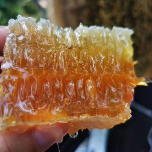 白沙县海南正宗土蜂蜜