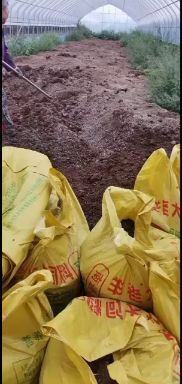 新昌县羊粪，大包干羊粪，送货到家十四一包