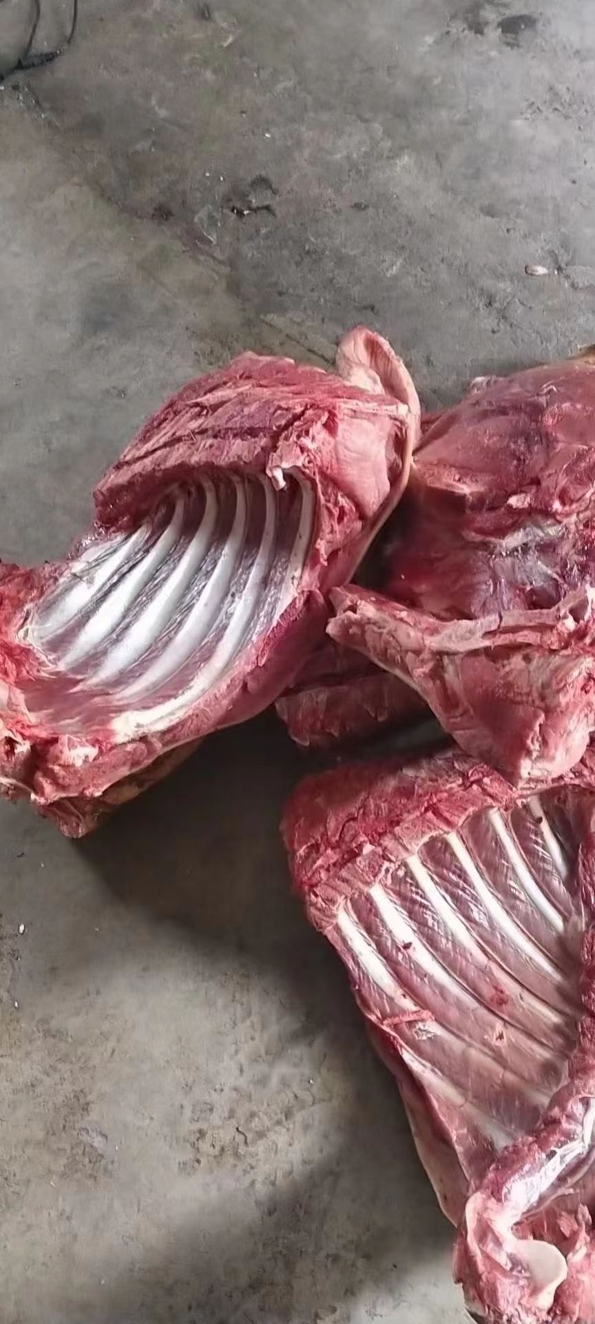 土猪肉  生鲜优选放养土猪 藏香猪可预定排骨 五花肉 前后腿