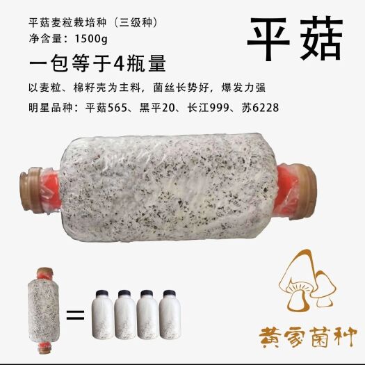 遵义平菇菌种  食用菌菌种