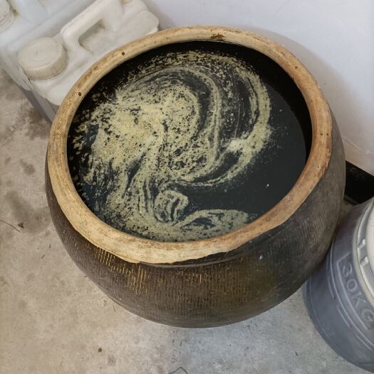 博白县龙眼蜜 农村龙眼密荔枝蜜真实。
