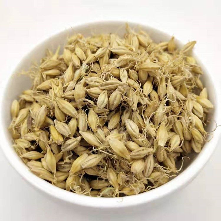 安国市中药材麦芽  大麦  麦芽 生  全芽品质好 各种规格 自